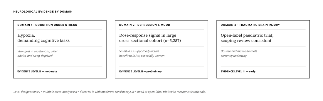 Neurological evidence base by domain and current evidence level.